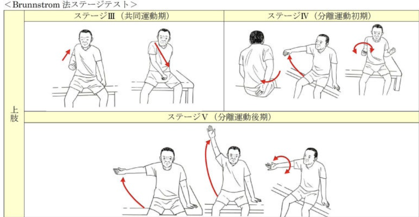 ブルン ストローム ステージ